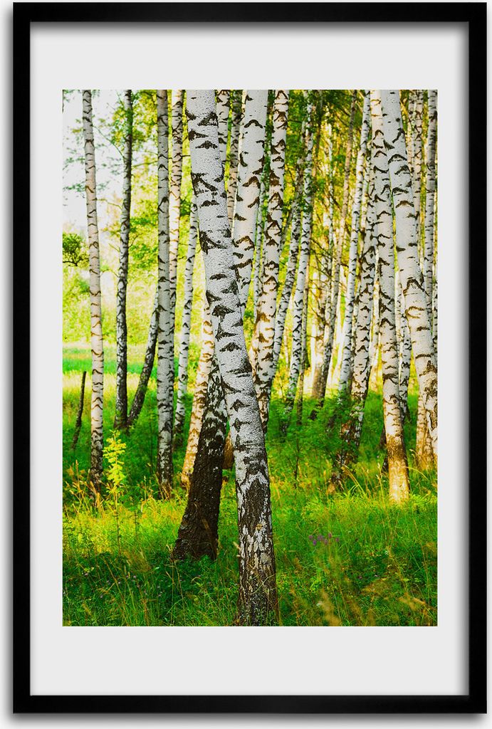 Bild - Bilderrahmen - 40 cm x 60 cm - MDF - Rahmen - Produktbild 