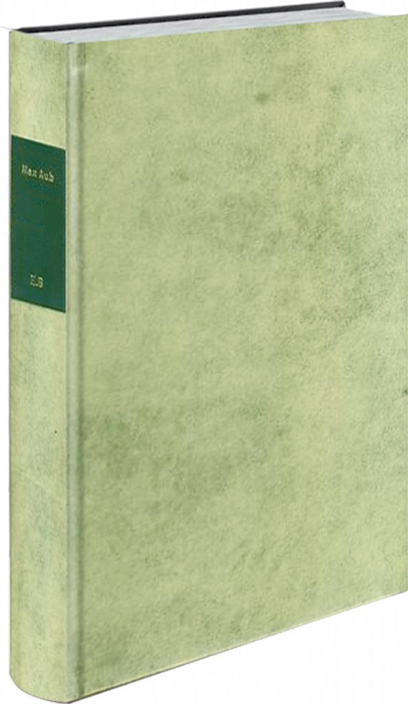 Das Magische Labyrinth, 6 Bde., Ld, Bd.5, Am Ende der Flucht: Aus d. Span. v. Albrecht Buschmann u. Stefanie Gerhold.