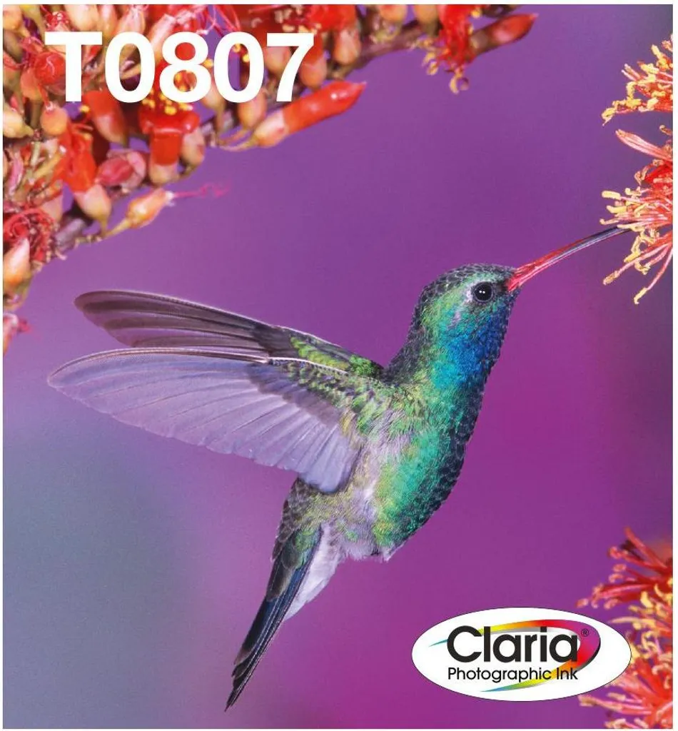 Cartucce Epson T0807 Originali | Multipack 6 Colori Claria Photographic