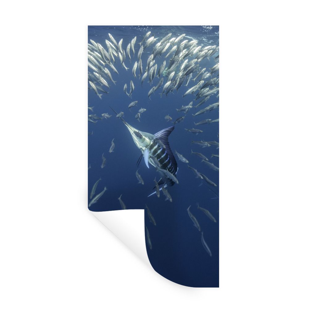 MuchoWow Wandtattoo Wandsticker Wandaufkleber Fisch - Schwertfisch - Wasser 40x80 cm Selbstklebend und Repositionierbar - Repositionierbar - Wass...