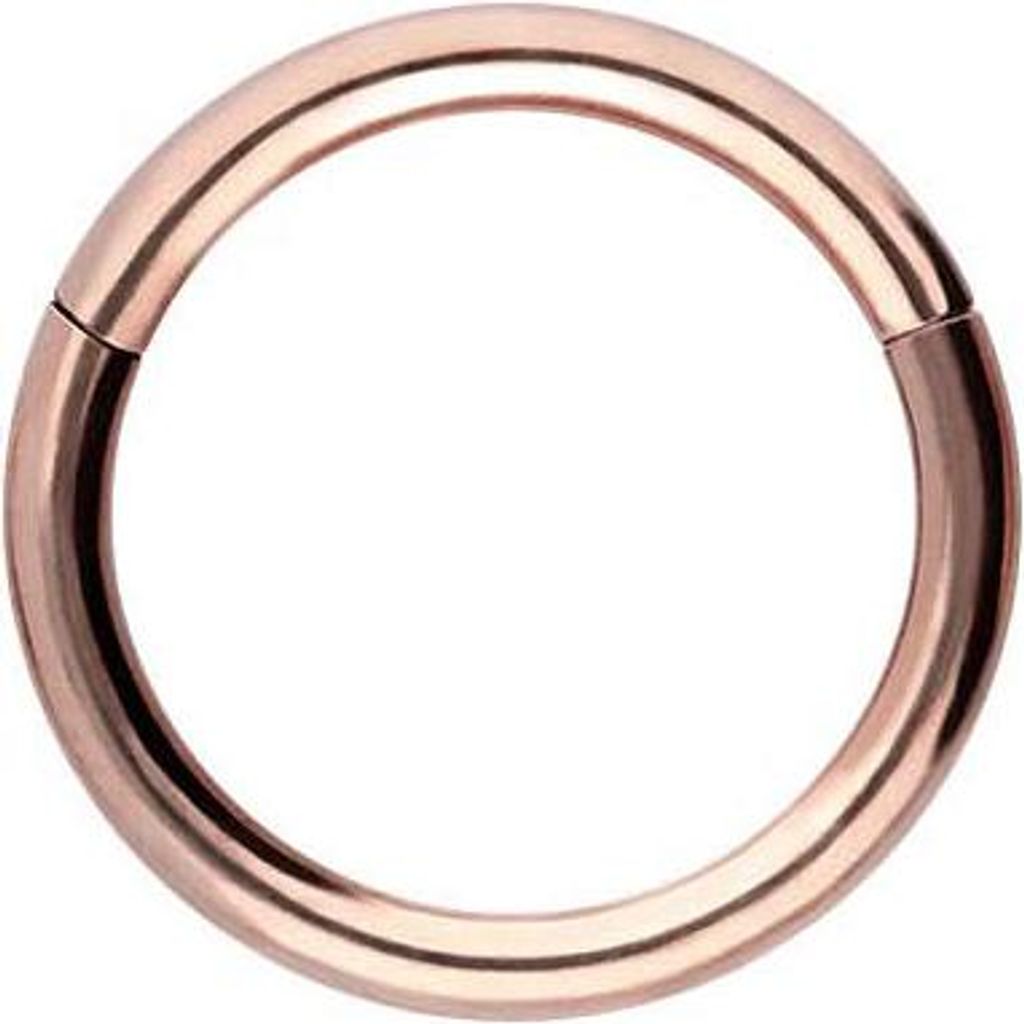 Ohrpiercing, Nasenpiercing, Septum Piercing Titan Segmentring Clicker RoséGold Innendurchmesser: 5mm + Stabstärke: 0,8mm