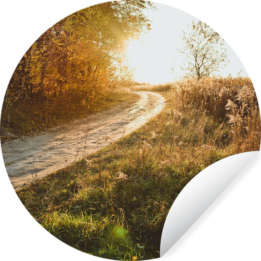 MuchoWow Runde Wandtattoo - Wandsticker Tapete Aufkleber Weg - Natur - Baum Ø 100 cm Selbstklebend und Repositionierbar - Wandaufkleber - Kreis ...