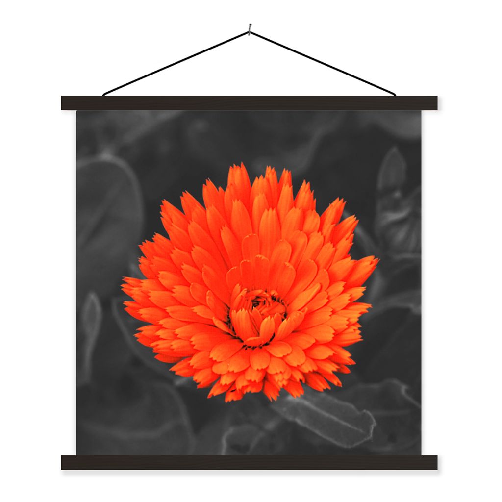 MuchoWow Textilposter Blumen - Orange - Schwarz - Weiß 40x40 cm mit schwarzem Rahmen - Fotos