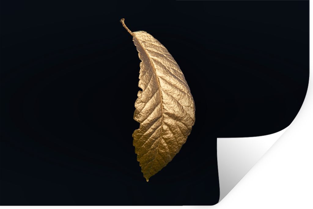 MuchoWow Wandtattoo Wandsticker Wandaufkleber Blätter - Luxus - Gold - Schwarz - Natur 30x20 cm Selbstklebend und Repositionierbar - Wierderverw...