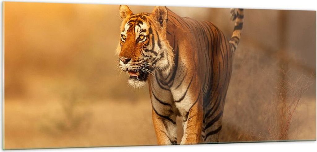 Bilder auf glas - tiger tier - 100x40cm - Glasbilder - Wandbilder - Bilder - Kunstdruck - zum Aufhängen bereit - Wanddekoration aus Glas - Glas Bi...