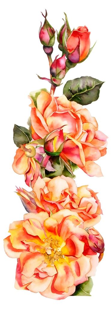 Selbstklebende Rosen-Wandtattoos, wiederverwendbare statische Glasaufkleber, klebstofffrei, wasserfest und feuchtigkeitsbeständig, Fensteraufklebe...