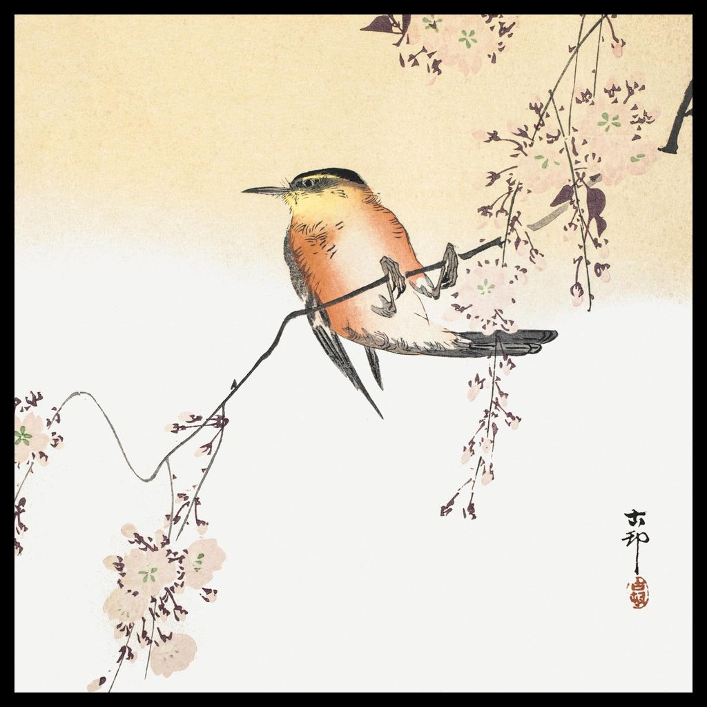 Plakat 50x50cm Songbird, Japanischer Koson Vintage für das Wohnzimmer