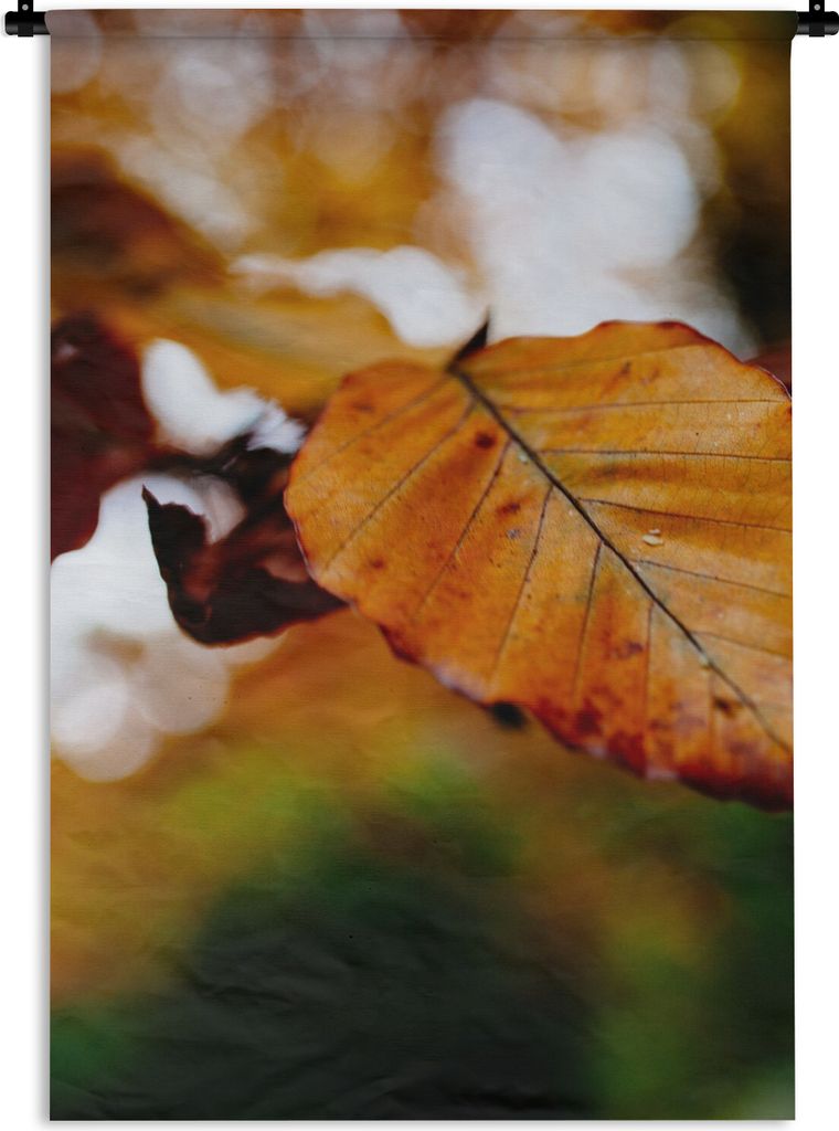 MuchoWow Wandteppich Wandbehang Buche - Herbst - Laub 60x90 cm Tapisserie Dekoration Wandtuch - Foto-Teppich - Abwaschbar