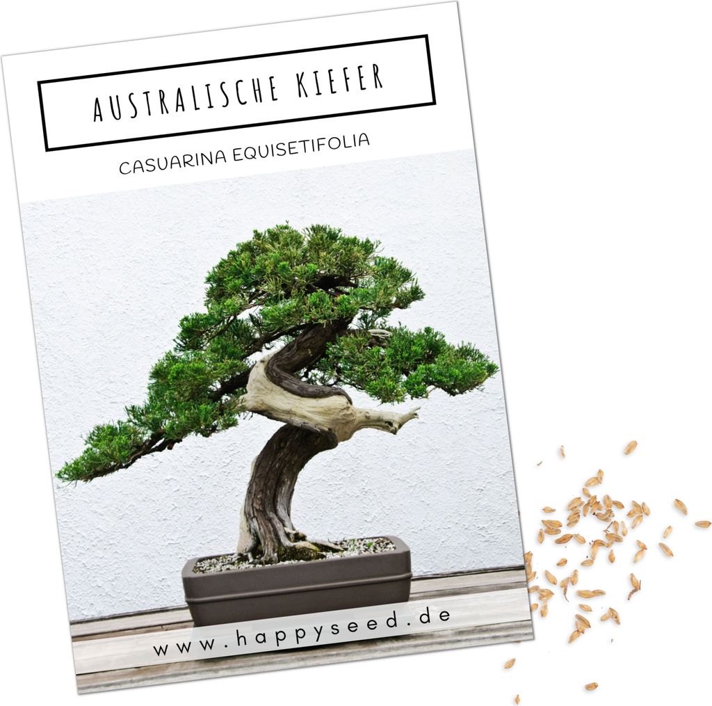 Exotische Bonsai Samen mit hoher Keimrate - Pflanzen Samen Produktbild 