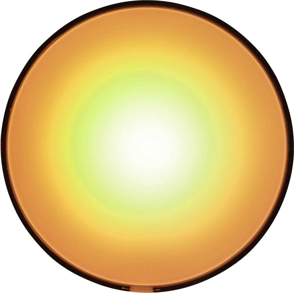Philips Hue Go LED-Lampe BT 520lm White Color Ambiance Akku Produktbild 