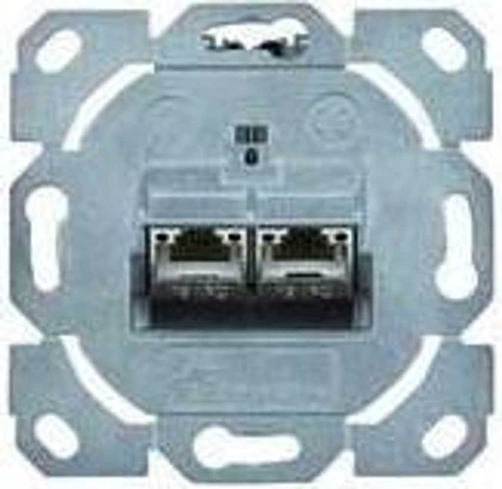 Telegärtner Network outlet Flush mount Insert CAT 6A 2 ports