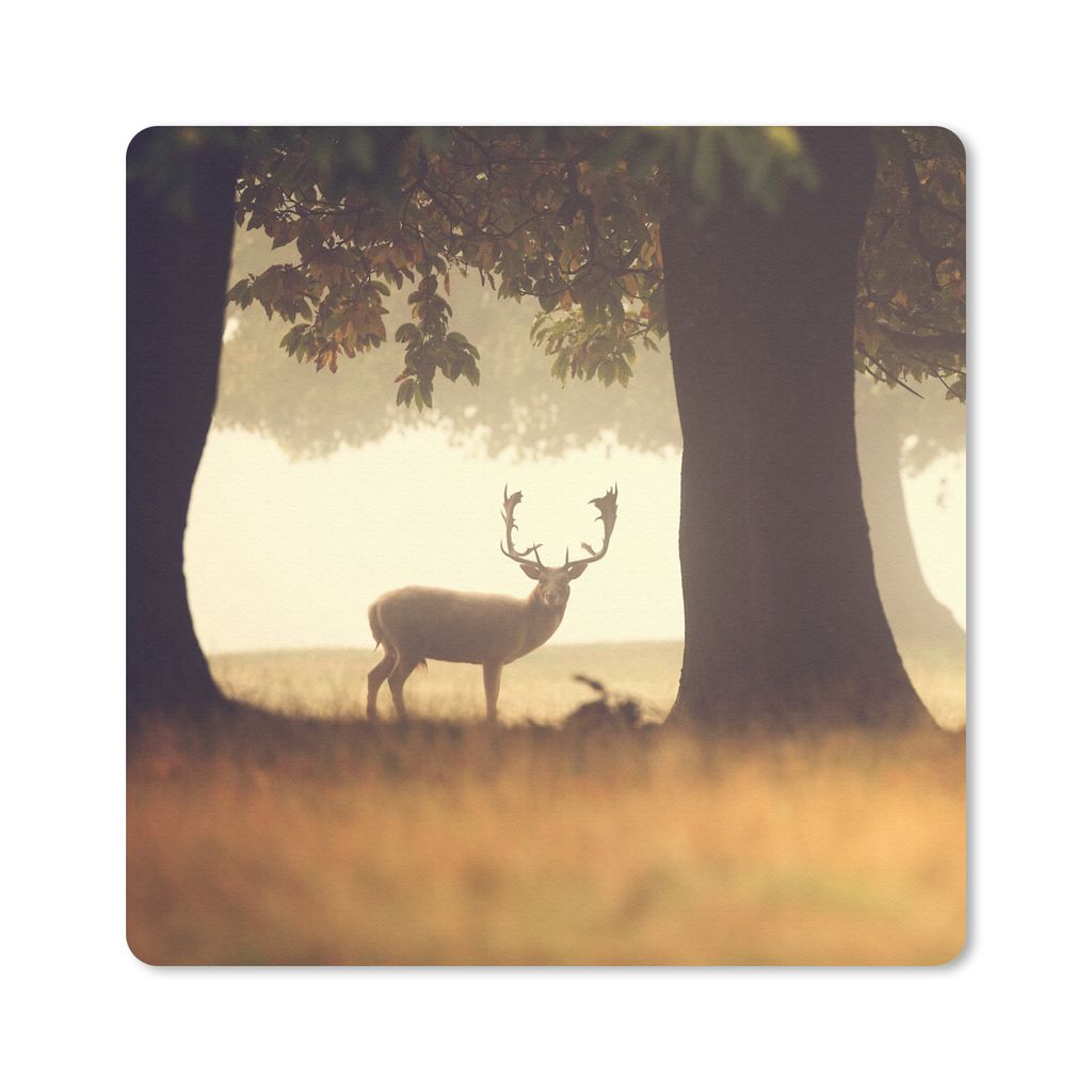 MuchoWow Mauspad Mousepad Hirsche - Bäume - Wald 20x20 cm - Mousepads - Maus Mat - Pad - Mausunterlage - Desk Mat - Bureauartikeln