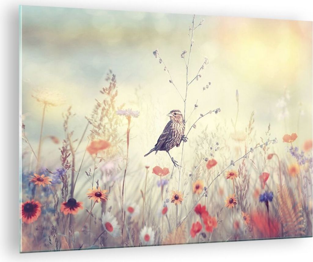 Bilder auf glas - Einteilig - Vogel Wildschwein Wiese - 70x50cm - Glasbilder - Wandbilder - Bilder - zum Aufhängen bereit - Wanddekoration aus Gla...