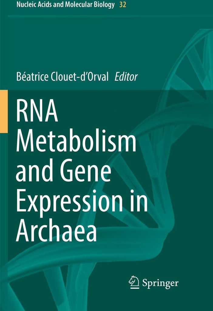 RNA Metabolism and Gene Expression in Archaea