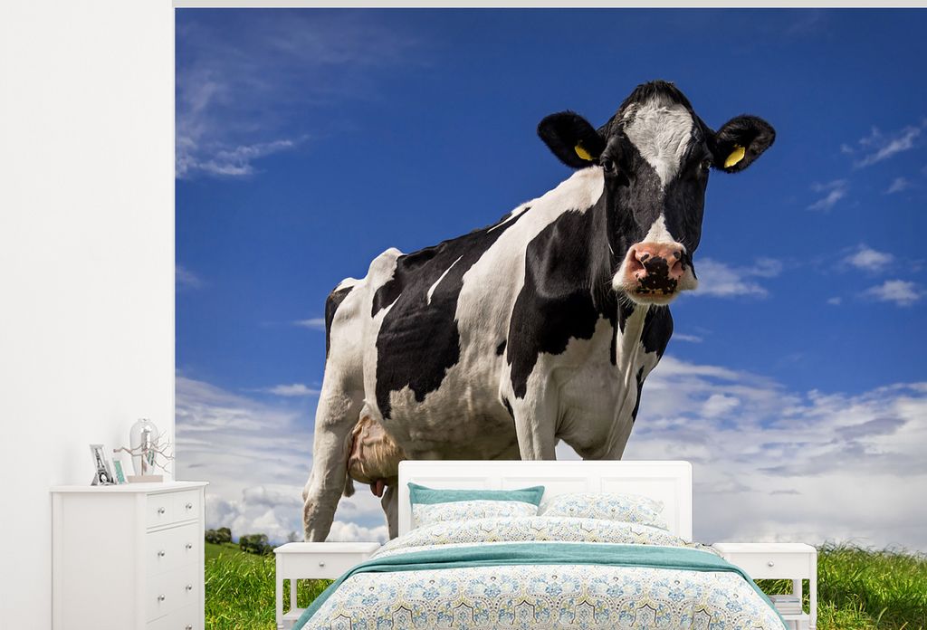MuchoWow Fototapete für Wohnzimmer oder Schlafzimmer Wandtapete Vinyl Motivtapete Kuh - Gras - Blau - Tiere - 375x300 cm - Tapezierpapier