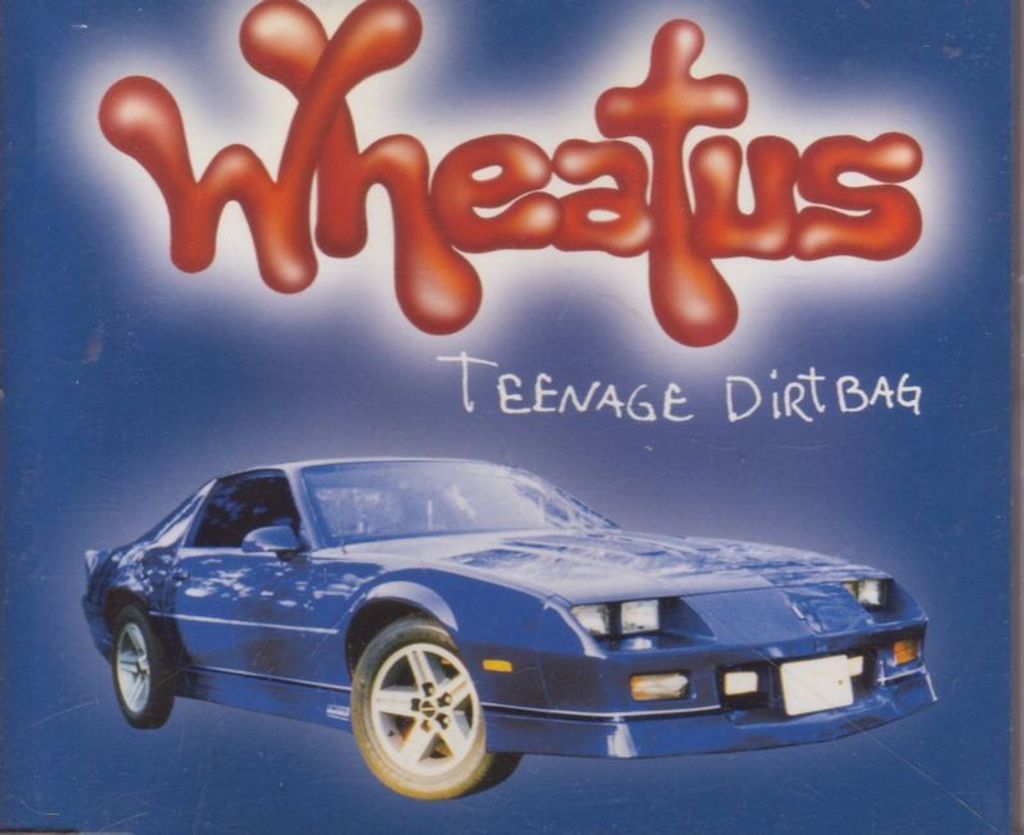 Teenage Dirtbag