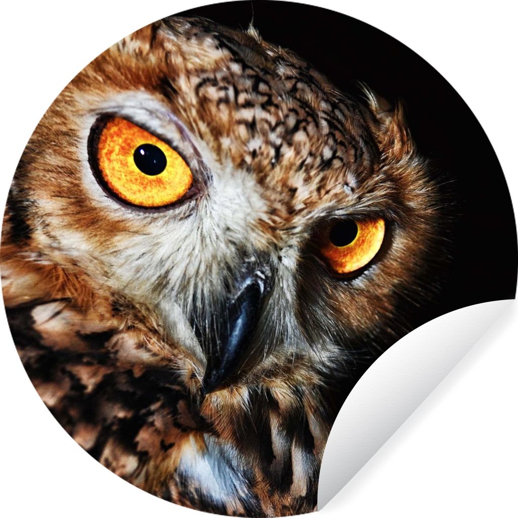 MuchoWow Runde Wandtattoo - Wandsticker Tapete Aufkleber Eule - Schwarz - Gelb Ø 50 cm Selbstklebend und Repositionierbar - Wandaufkleber - Krei...