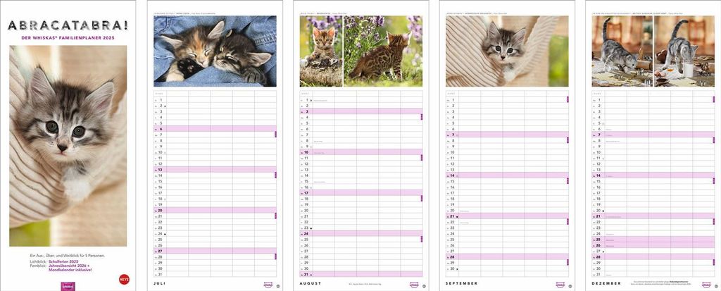 HEYE 20591 Familieplanner - 21 x 45 cm, 5 kolommen Productafbeelding 