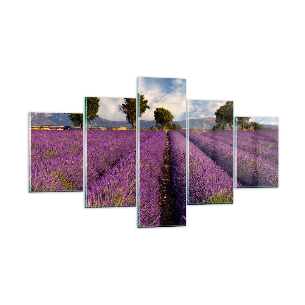 Bilder auf glas - Landschaft Wiese Pflanzen - 125x70cm - Glasbilder - Wandbilder - Kunstdruck - zum Aufhängen bereit - Wanddekoration aus Glas - G...
