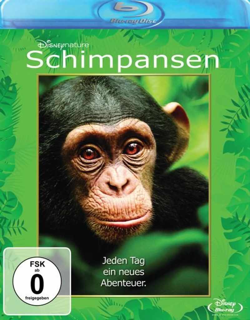 Schimpansen