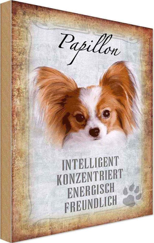 vianmo Holzschild 18x12 cm Papillon Hund Tier Haustier