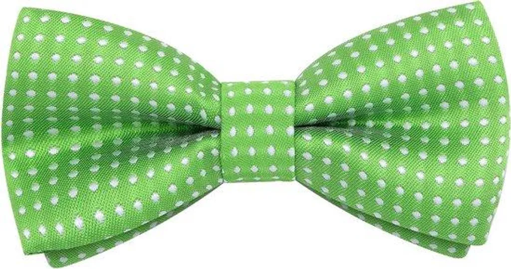 Nœud papillon enfant à pois ajustable pour cortège de mariage chic