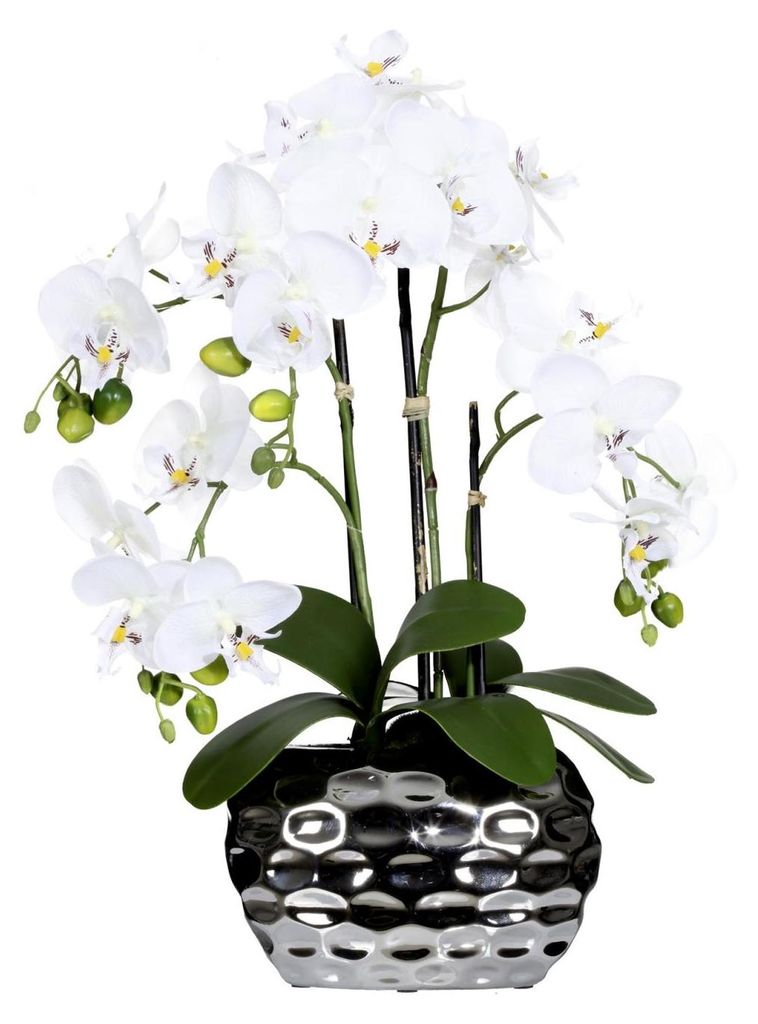 künstliche Orchidee mit 4 Rispen H. 55cm weiß in silberner Produktbild 