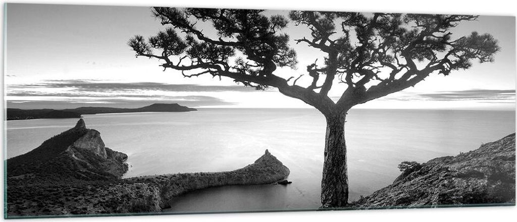 Bilder auf glas - Einteilig - Baum Schwarzweiß Ansicht - 140x50cm - Glasbilder - Wandbilder - Bilder - zum Aufhängen bereit - Wanddekoration aus ...
