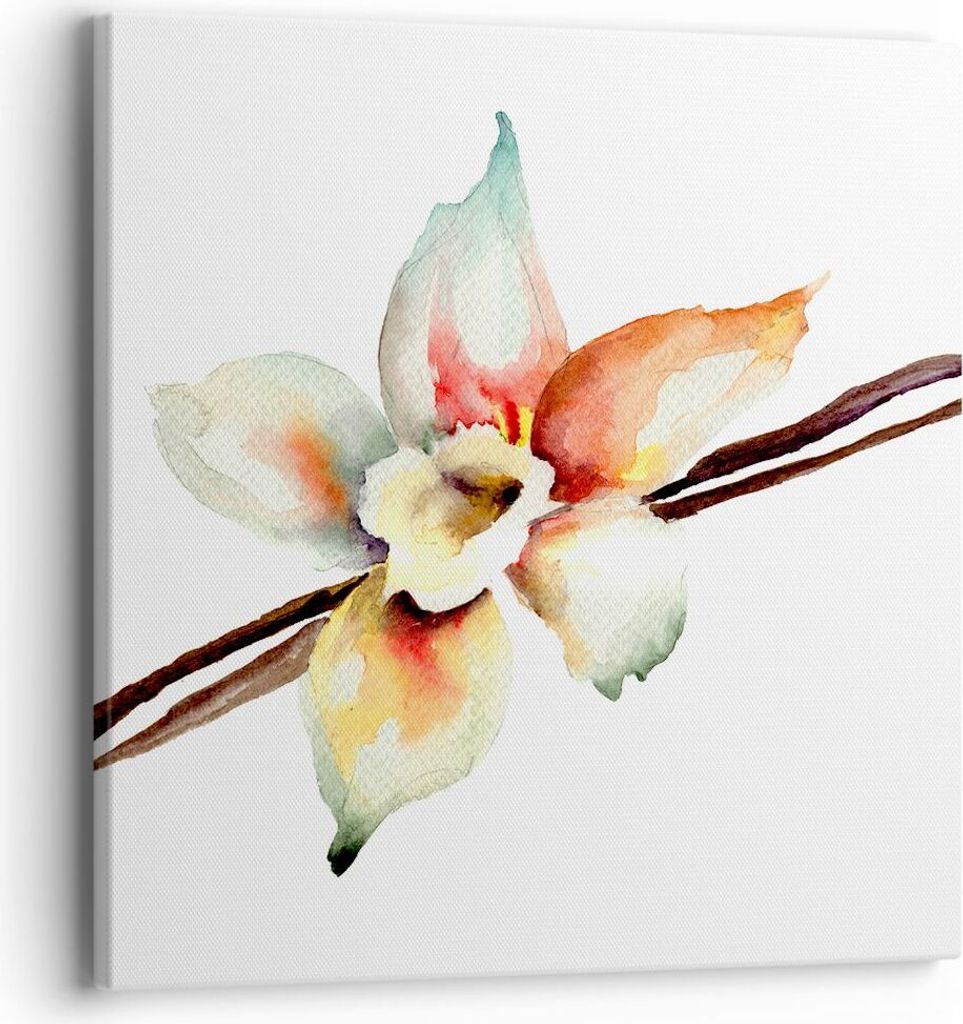 Bild auf Leinwand - Leinwandbild - Vanille Gewürz Blume Pflanze - 40x40cm - Wand Bild - Wanddeko - Leinwanddruck - Bilder - Kunstdruck - Wanddekor...