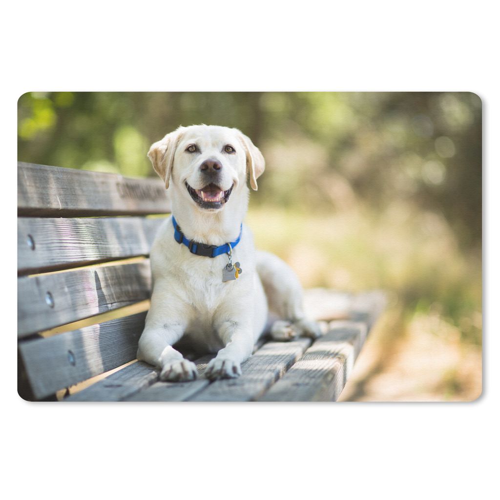 MuchoWow Mauspad Mousepad Labrador Retriever auf einer Bank 27x18 cm - Mousepads - Maus Mat - Pad - Mausunterlage - Büroartikel - Desk Matten
