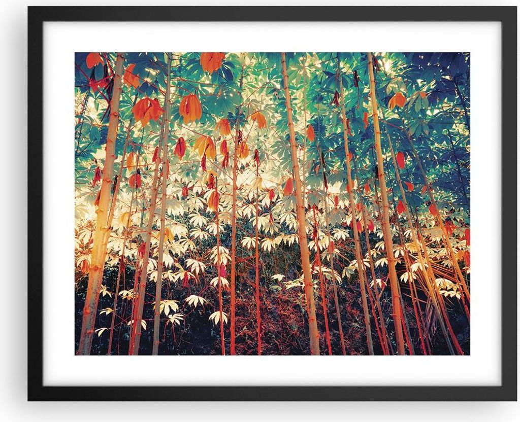 Gerahmtes Poster - Schwarzer Rahmen - Pflanzen tropisch orange - 50x40 cm - Wand Bild - Wanddeko - Wandbilder - Kunstposter - Wandposter - Bilderra...