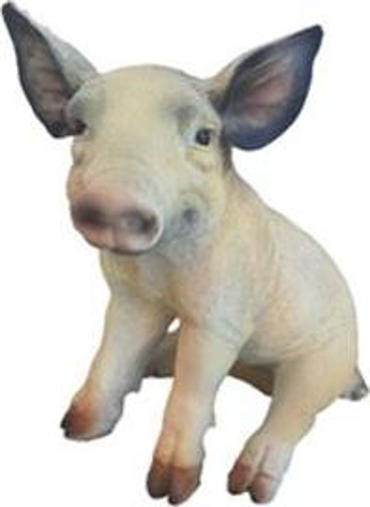 Schwein Lebensgroße Figur Dekoration Statuen Skulptur Garten Deko Figuren Ferkel