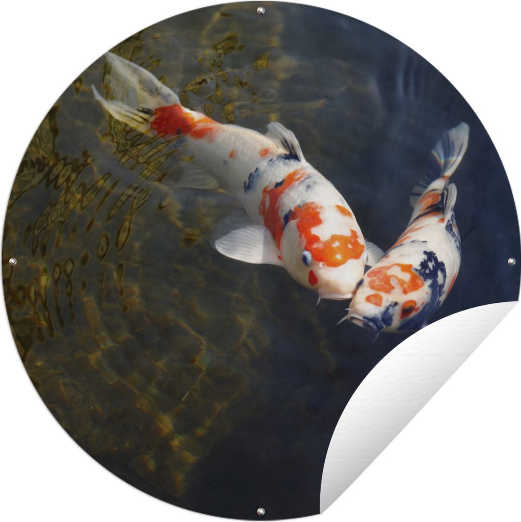 MuchoWow Gartenposter Outdoor-Poster Rund Zwei Koi-Karpfen im Wasser Ø 120 cm Gartendeko Rundes Poster draußen