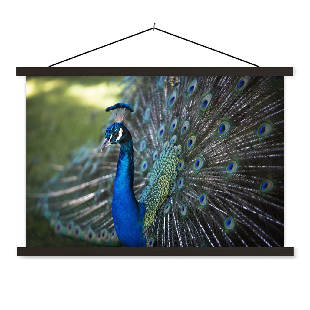 MuchoWow Textilposter Pfau - Vögel - Blau 120x80 cm mit schwarzem Rahmen - Wanddeko