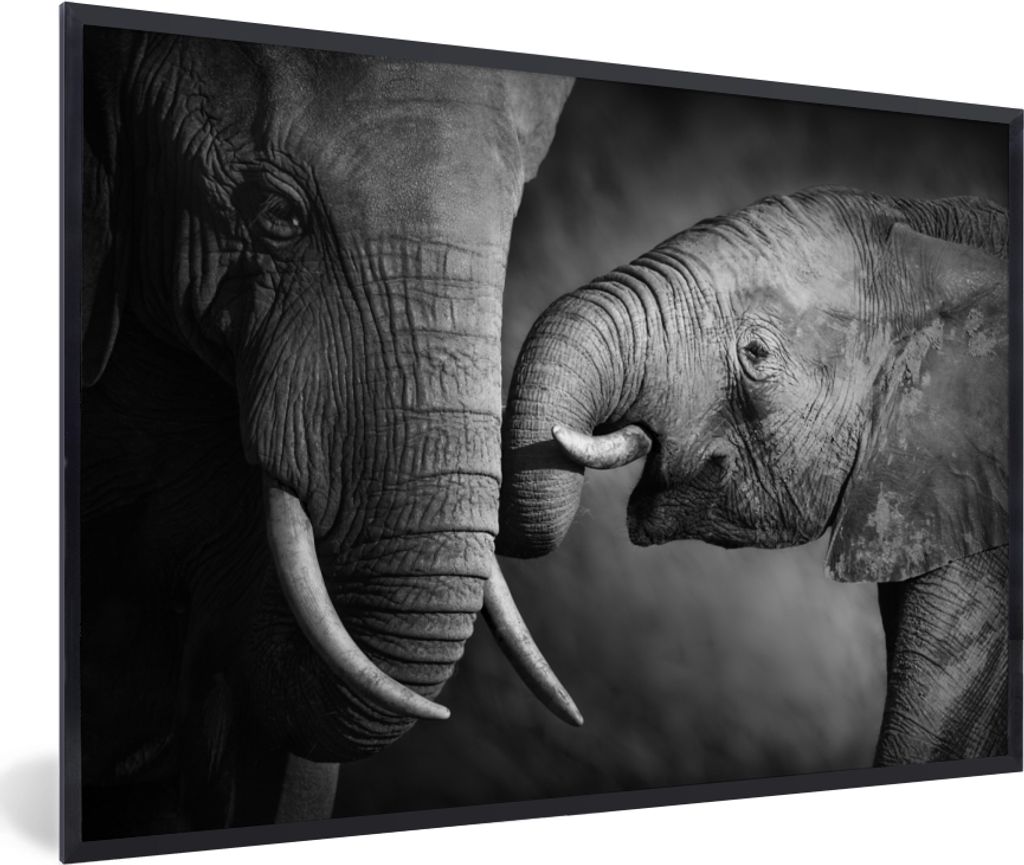 MuchoWow Gerahmtes Poster Wildtiere - Elefant - Schwarz - Weiß - Porträt 30x20 cm - Poster mit Schwarzem Bilderrahmen Wandposter Rahmen Foto Bi...