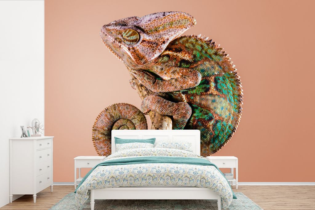 MuchoWow Fototapete für Wohnzimmer oder Schlafzimmer Wandtapete Vinyl Motivtapete Camouflage - Chamäleon - Äste - 330x220 cm - Fototapeten