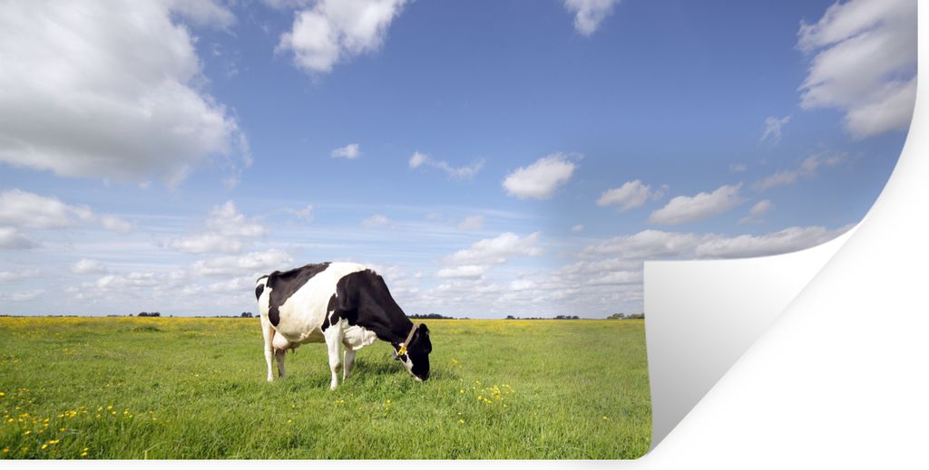 MuchoWow - Aufkleber