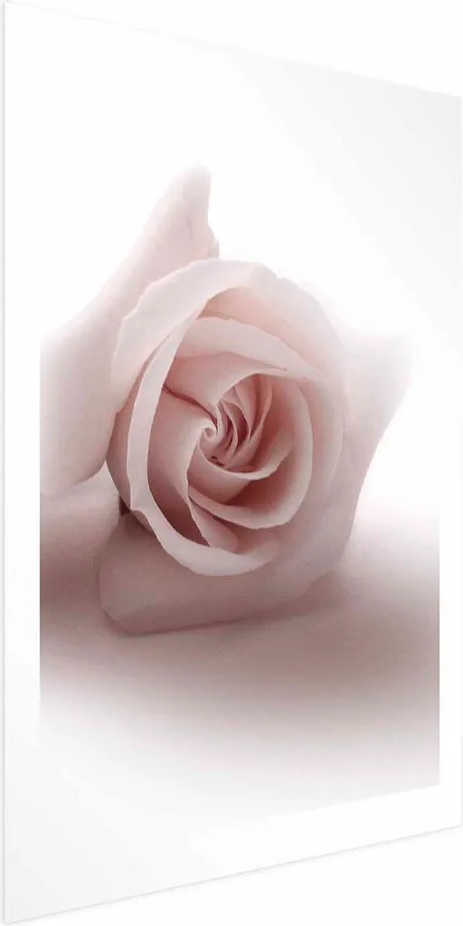 Rose Shadow Poster 60x90 cm: Crea un'Atmosfera Romantica
