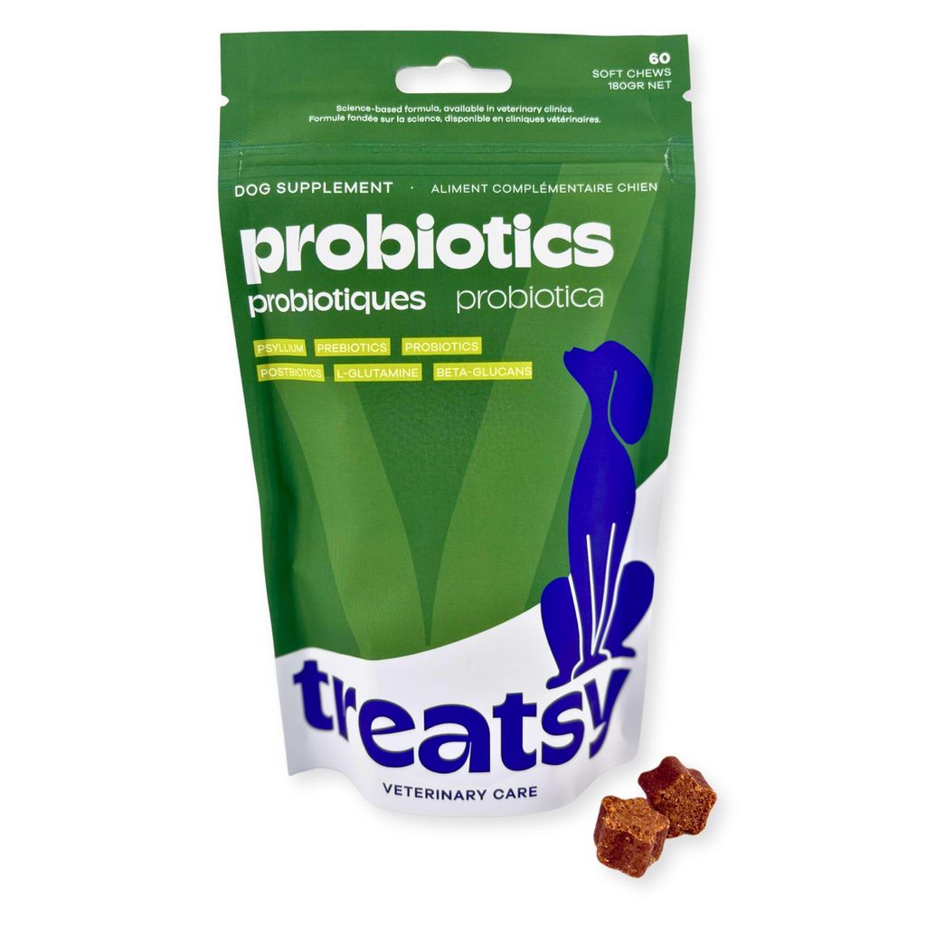 Treatsy Probiotika, Präbiotika, Postbiotika & Psyllium für Produktbild 