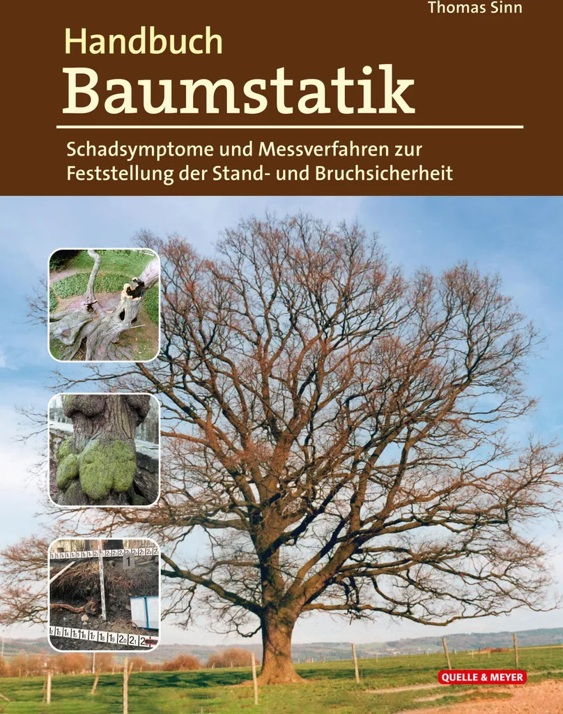 Éviter les Chutes d'Arbres : Guide Handbuch Baumstatik pour Diagnostic - 2