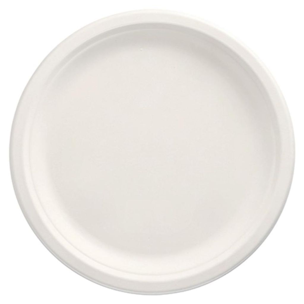 100 Teller, Zuckerrohr "pure" ungeteilt Ø 26 cm · 2 cm Produktbild 
