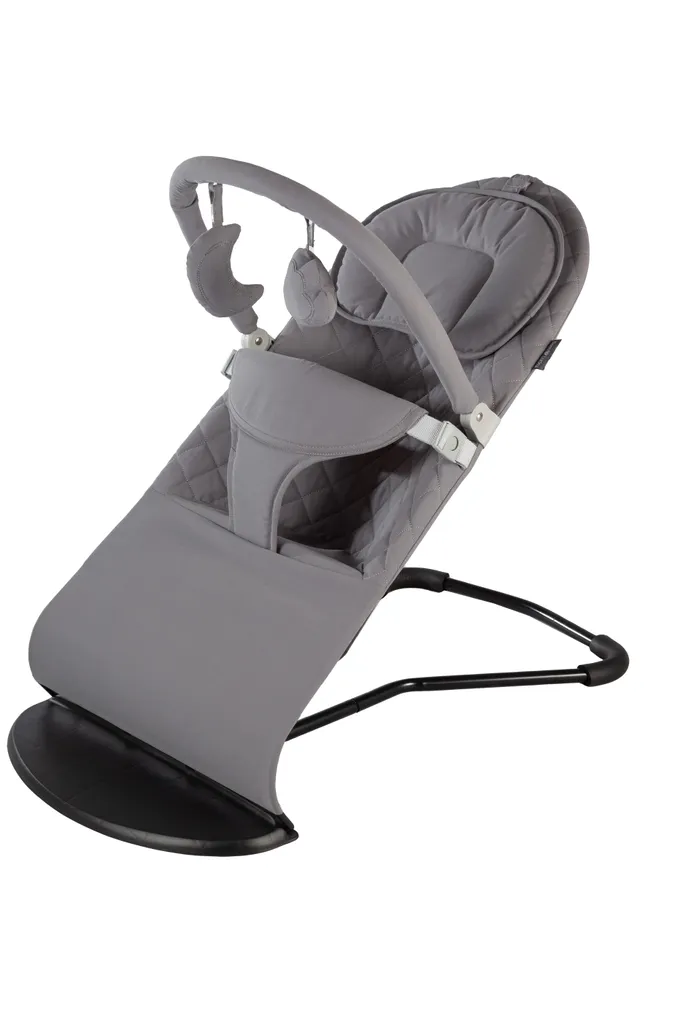 Transat Bébé Born Lucky Gris - Transat Réglable et Pliable avec Arche - 4