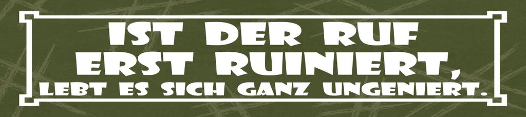 vianmo Blechschild 10x46 cm Ist der Ruf erst ruiniert lebt es sich