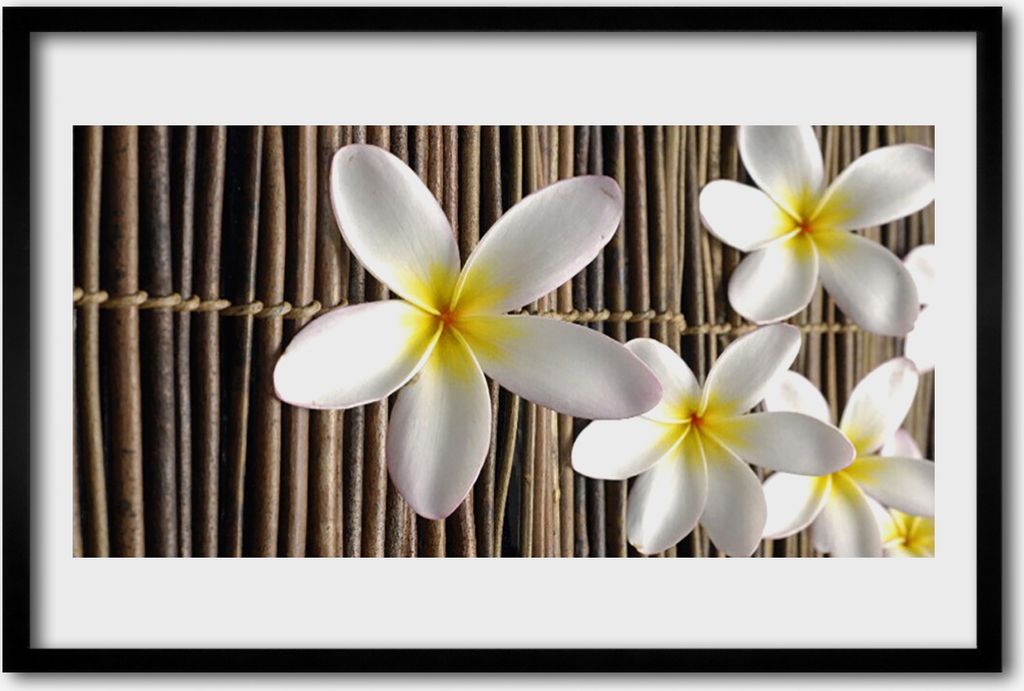 Bild 60x40 MDF-Rahmen Wandkunst Blumen Pflanzen Natur