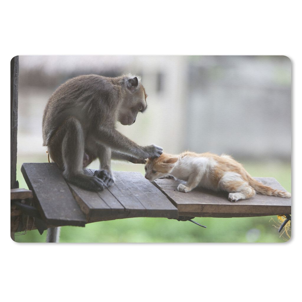 MuchoWow Schreibtischunterlage Katze - Affe - Holz 60x40 cm - XXL Mauspad - Großes Mauspad
