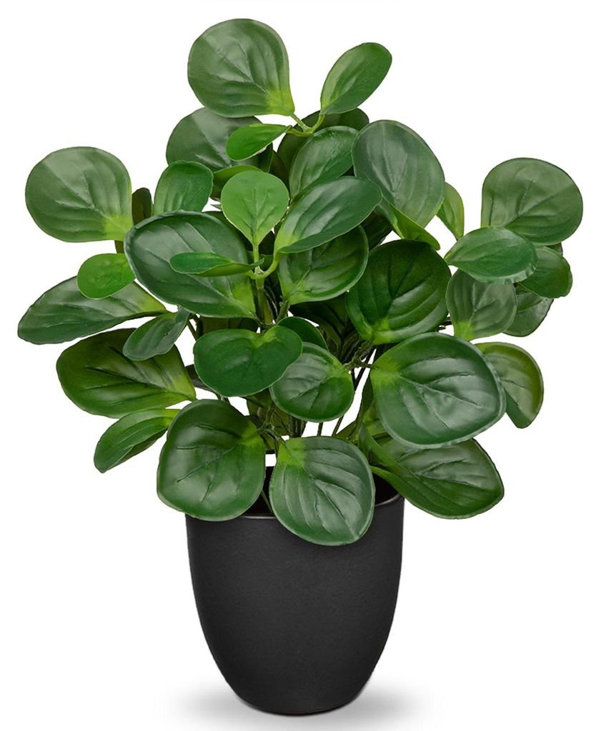 37 cm große künstliche Pflanzen im Topf, künstliche Zimmerpflanzen, künstliche Peperomia mit Minzblättern, Schreibtischdekoration, Bonsai, kü...