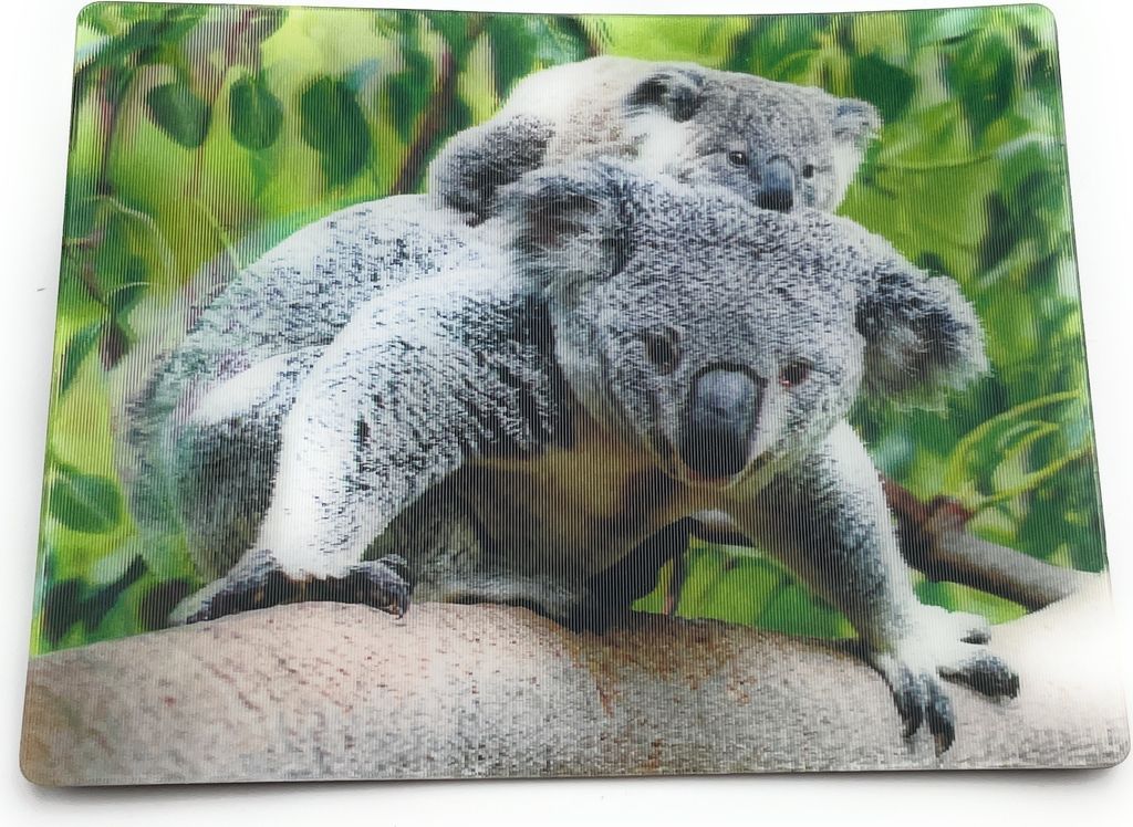 Onwomania Koala Bären Koalabär 9x7cm 3D Magnet Karte Kühlschrankmagnet Magnetbild Heftmagnet Grau