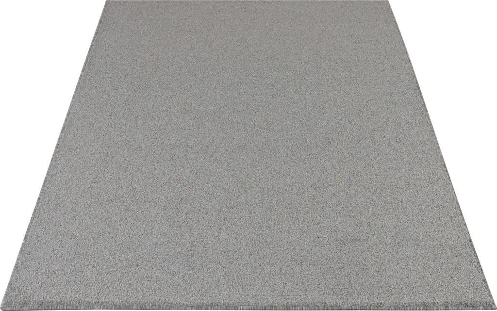 Tapis Salon Anti-Tache Entretien Facile Design Moderne Uni 280x370 cm