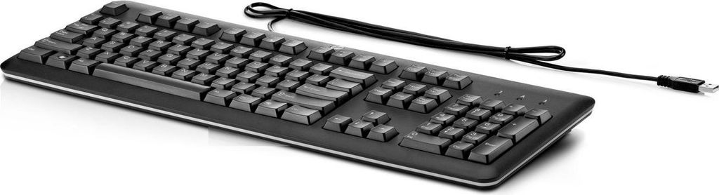 HP USB Keyboard for PC, Volle Größe (100%), Kabelgebunden, USB, Membran Key Switch, Schwarz