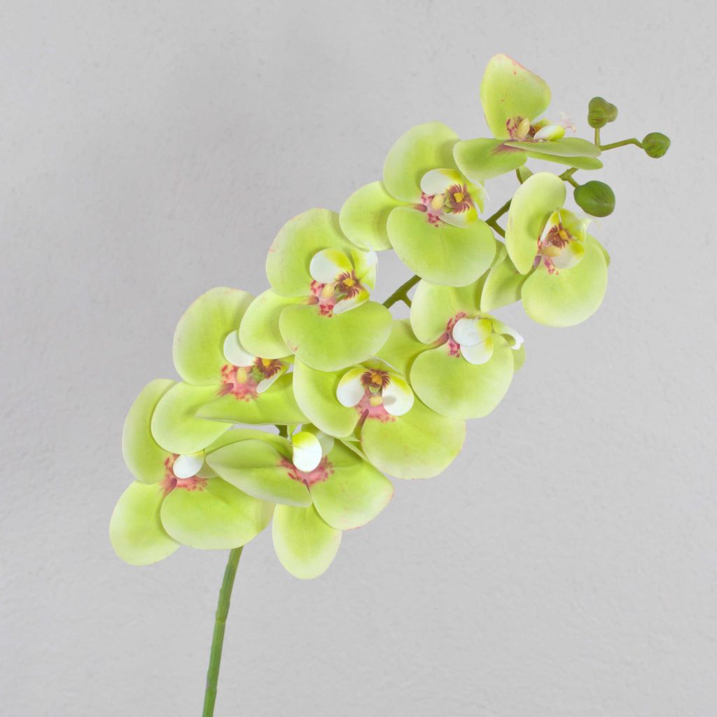 artplants.de Künstlicher Phalaenopsis Zweig Ophelia, real Touch, 9 Blüten, grün-pink, 100cm - Dekoblume - Kunstblume